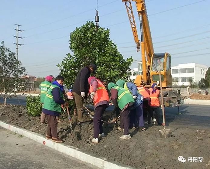 丹阳林场绿色发展新探索，实践与探索之路