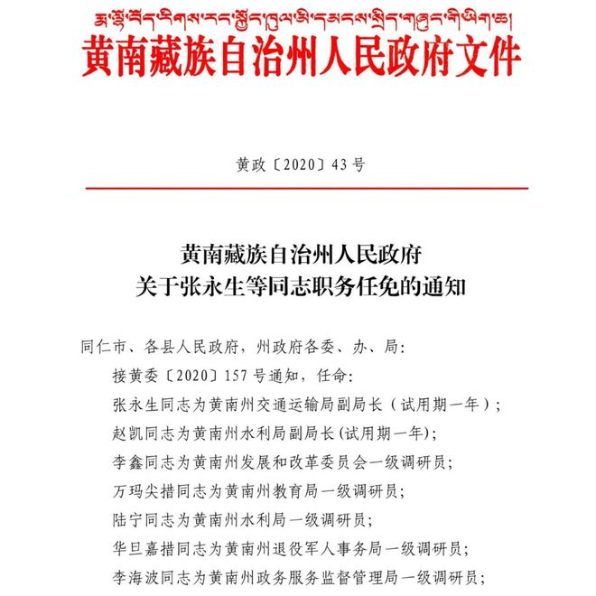 红山区文化局最新人事任命动态