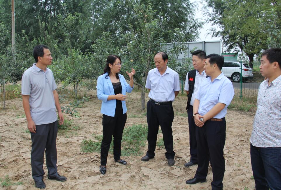 山西省临汾市大宁县太德乡最新人事任命动态