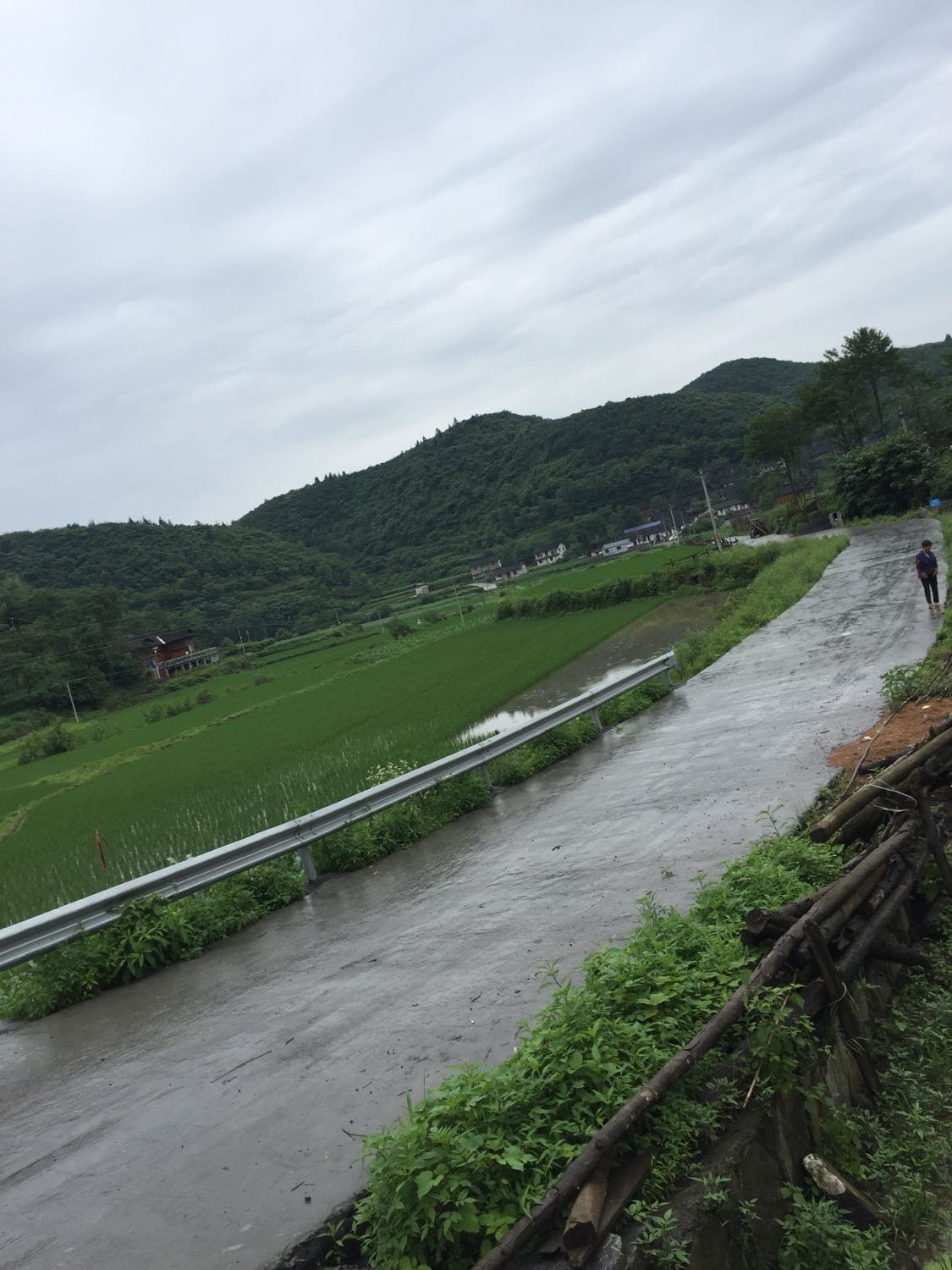 乌江村委会最新天气预报