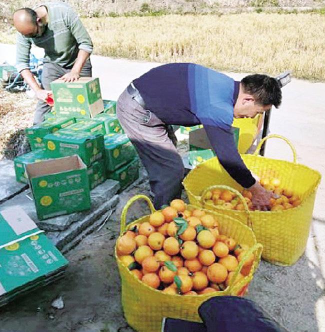 钦州市扶贫开发领导小组办公室最新招聘信息详解