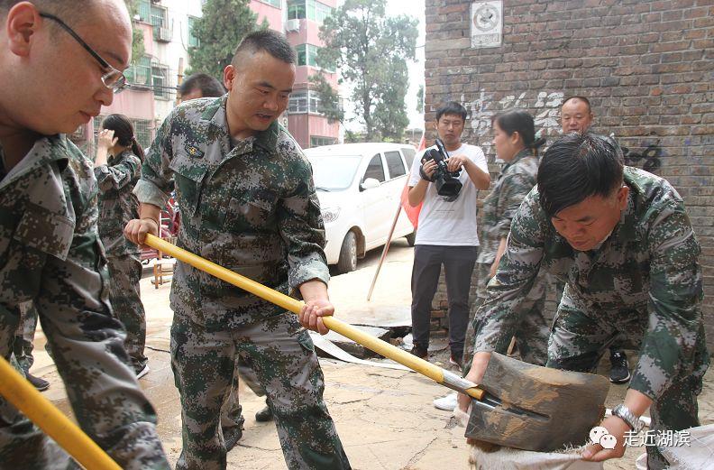 陕县农业农村局最新项目，推动农业现代化，助力乡村振兴