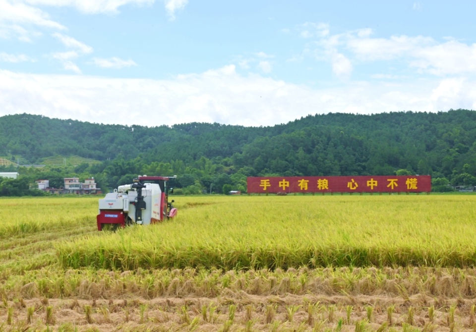 邓厂满族乡最新天气预报