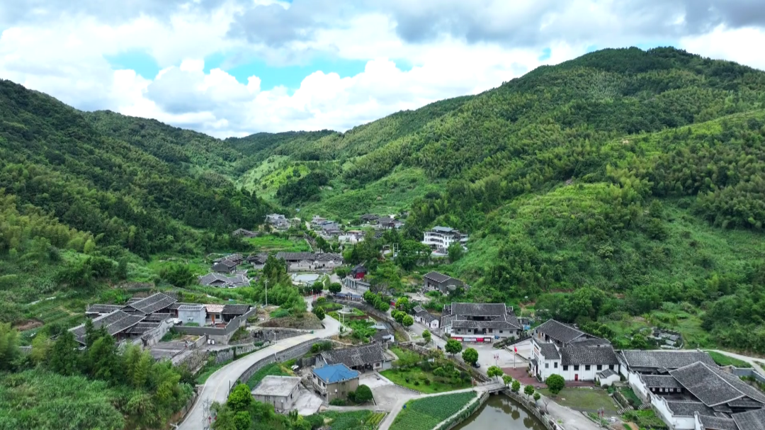 地寺坪村委会最新领导团队，引领未来，塑造乡村新篇章