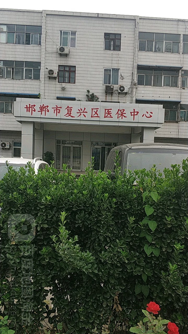 复兴区发展和改革局新项目助力区域经济与社区振兴